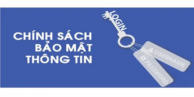 Cách thức sử dụng thông tin của người chơi được cung cấp