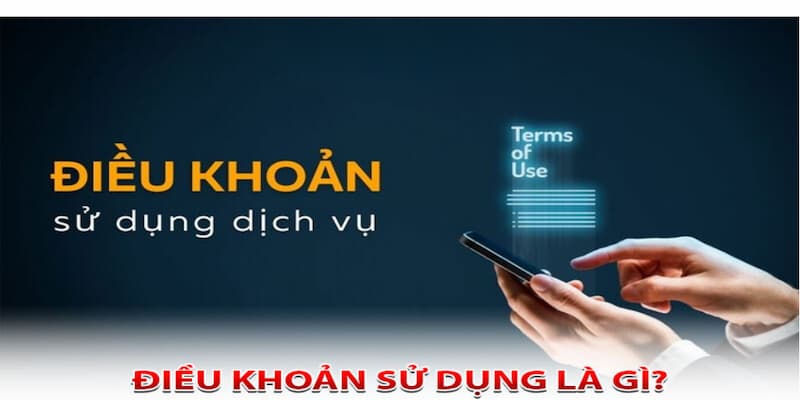 Tầm quan trọng của điều khoản sử dụng trong cá cược